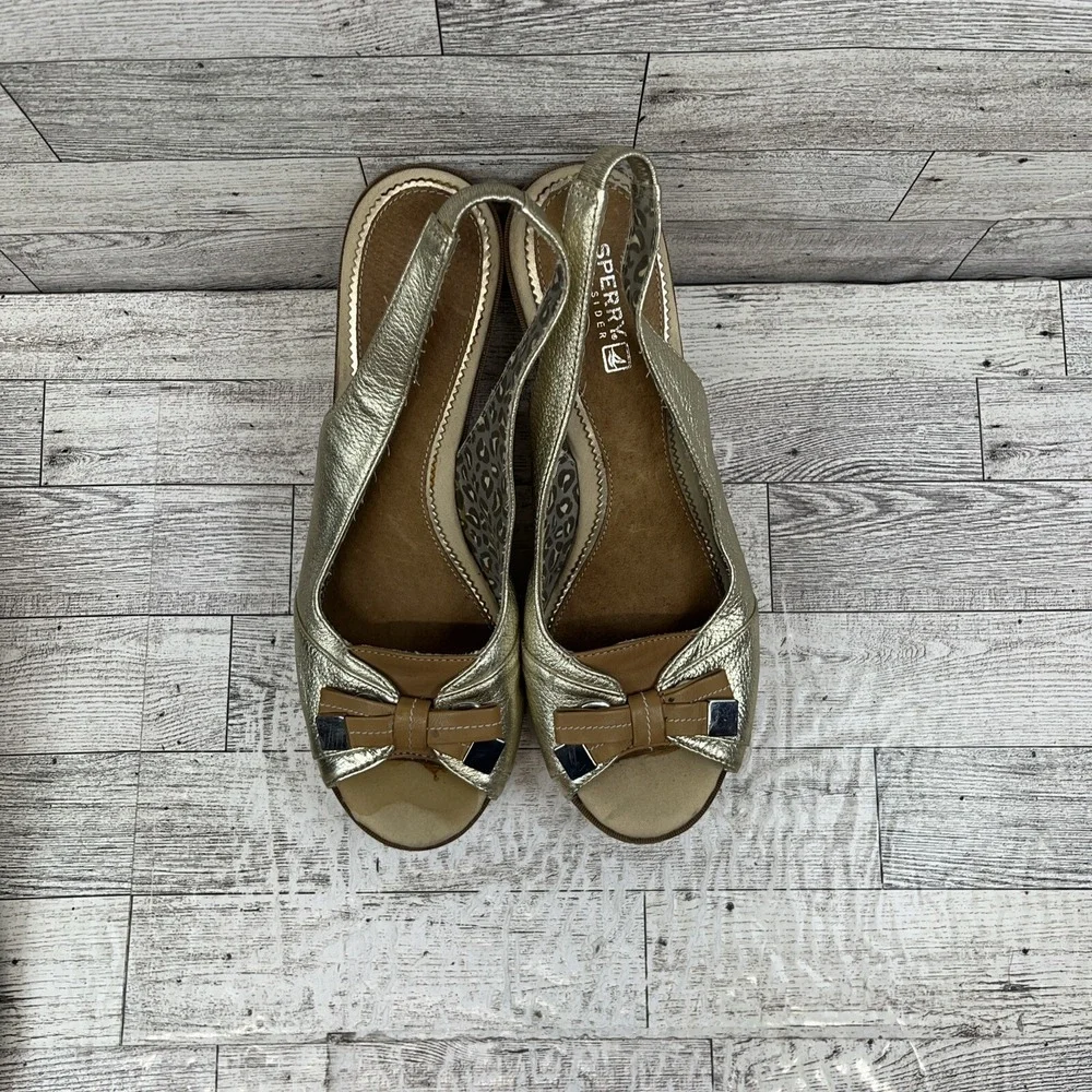 Sperry elevate your